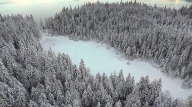 Almanya 'da Eibsee yakınlarındaki Zugspitze Dağı eteklerinde bulunan Frillensee, sakin bir kış kaçışı teklif ediyor. Havadan bakıldığında donmuş göl, karla kaplı ağaçlar ve Bavyera Alpleri 'nin buzla kaplı sükuneti görülüyor.. 