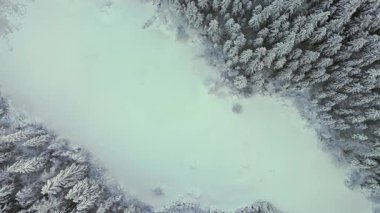 Almanya 'da Eibsee yakınlarındaki Zugspitze Dağı eteklerinde bulunan Frillensee, sakin bir kış kaçışı teklif ediyor. Havadan bakıldığında donmuş göl, karla kaplı ağaçlar ve Bavyera Alpleri 'nin buzla kaplı sükuneti görülüyor.. 