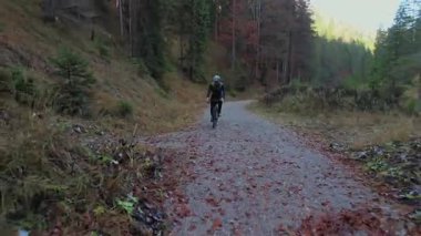 Çakıl taşı bisikletli bisikletçi, dağlardaki orman patikaları boyunca soğuk dağ nehrinden geçer ve yakındaki tahta köprü yerine su mücadelesini seçer. Sonbahar renkleri etrafını sarmış. Bisikletçi derenin karşısına geçiyor. 