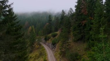 Bayrischzell, Bavyera, muhteşem sonbahar manzaraları sergiler. Dolambaçlı toprak yol dağlardaki sisli çam ormanlarının içinden geçer, altın renklerle kaplanır. Havadan bakıldığında sakin ve el değmemiş bir doğa görünüyor.