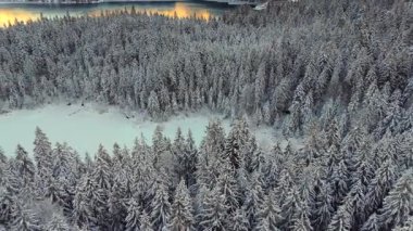 Almanya 'da Eibsee yakınlarındaki Zugspitze Dağı eteklerinde bulunan Frillensee, sakin bir kış kaçışı teklif ediyor. Havadan bakıldığında donmuş göl, karla kaplı ağaçlar ve Bavyera Alpleri 'nin buzla kaplı sükuneti görülüyor.. 