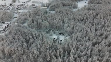 Kışın Rosensee Gölü, Grainau, Garmisch-Partenkirchen, Almanya hava manzaralı, karla kaplı kozalaklı orman ve Alpler ile çevrilidir. Rosensee umgeben bei Grainau, Alman Luftaufnahme. 
