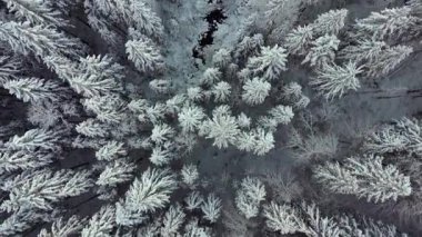 Almanya 'da Eibsee yakınlarındaki Zugspitze Dağı eteklerinde bulunan Frillensee, sakin bir kış kaçışı teklif ediyor. Havadan bakıldığında donmuş göl, karla kaplı ağaçlar ve Bavyera Alpleri 'nin buzla kaplı sükuneti görülüyor.. 