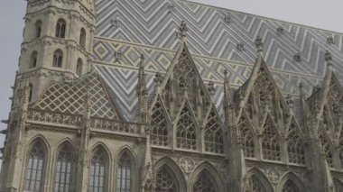 Viyana, Avusturya. St. Stephens Katedrali. Aziz Stephen ve All Saints Katedrali ve Metropolitan Kilisesi. Stephansdom 'da. Metropolitankirche zu Sankt Stephan ve Allen Heiligen. 
