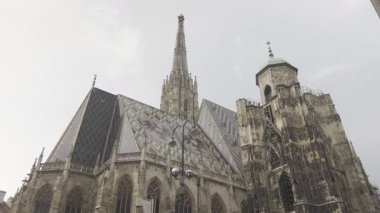 26 Ağustos 2024. Viyana, Avusturya. St. Stephens Katedrali. Aziz Stephen ve All Saints Katedrali ve Metropolitan Kilisesi. Stephansdom 'da. Metropolitankirche zu Sankt Stephan ve Allen Heiligen. 