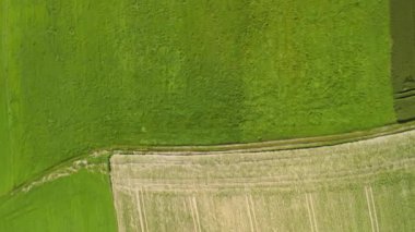 Yazın Bavyera, Almanya 'da güneşli bir havada çeşitli tarım alanlarının havadan görünüşü. Luftaufnahme verschiedenen landwirtschaftlichen Feldern im Sommer, Bayern, Deutschland. Çiftlik alanları. 