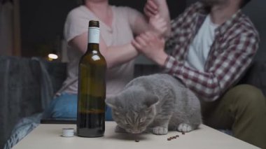İşlevsiz ailede hayvan istismarı. Sarhoş adam ve kadın kavga ediyor ve aç kedi masada oturmuş dağınık yemek yiyor. Aile içi şiddet ve kötü hayvan bakımı. Alkoliklerin ailesindeki aç kedi.. 