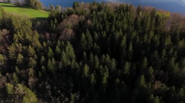 Hava manzarası, Staffelsee adaları, Garmisch Partenkirchen bölgesi, Bavyera, Almanya Murnau yakınlarında ilkbaharda güneşli hava şartlarında. Bayern 'deki büyük güzel bir gölün adaları üzerinde insansız hava aracı manzarası. 