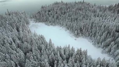 Almanya 'da Eibsee yakınlarındaki Zugspitze Dağı eteklerinde bulunan Frillensee, sakin bir kış kaçışı teklif ediyor. Havadan bakıldığında donmuş göl, karla kaplı ağaçlar ve Bavyera Alpleri 'nin buzla kaplı sükuneti görülüyor.. 