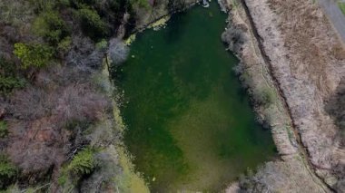Spiegelweiher 'ın insansız hava aracı çekimi, Grafing bei Muenchen, Bavyera, Almanya' da balık göleti zinciri. Münih yakınlarındaki bu gizli mücevher sessiz yürüyüş yolları yansıtıcı sular ve canlı bahar yeşilliği barındırıyor.. 