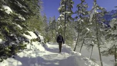 Almanya, Bavyera 'da karlı Eibsee patikasında yürüyüş yapan bir adamın arka görüntüsü. Zugspitze yakınlarında kış yürüyüşü, Alp Gölü, çam ormanı, dağlar. Alman Alpleri 'nde huzurlu bir yolculuk.. 