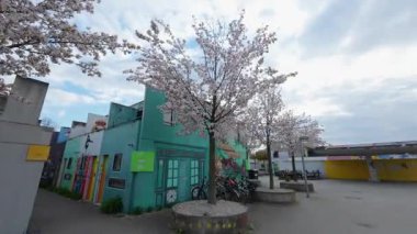 13 Nisan 2025. Münih, Almanya. Studentenviertel Oberwiesenfeld, Almanya 'nın Münih Olimpiyatları' nda yer alan bir öğrenci yerleşkesi. Münih 'te Öğrenci Wohnungen. 