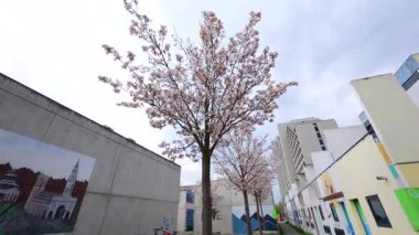 13 Nisan 2025. Münih, Almanya. Studentenviertel Oberwiesenfeld, Almanya 'nın Münih Olimpiyatları' nda yer alan bir öğrenci yerleşkesi. Münih 'te Öğrenci Wohnungen. 