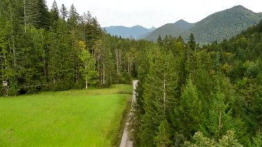 Eylül ayında Almanya 'nın Bavyera şehrinde çakıl bisikleti süren erkek bisikletçinin hava manzarası. Arkasından bisikletlinin drone görüntüsü dağlardaki Bavyera ormanında çakıllı bisiklet rotası boyunca gidiyor.. 