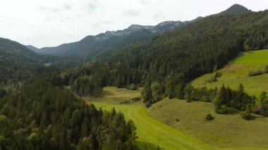 Otlayan ineklerin, küçük bir özel taş ocağının ve Almanya 'nın Lenggries yakınlarındaki Bavyera tepelerinin hava aracı görüntüsü. Kırsal cazibesi ve doğal güzelliği olan manzaralı yaz manzarası. 
