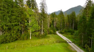 Eylül ayında Almanya 'nın Bavyera şehrinde çakıl bisikleti süren erkek bisikletçinin hava manzarası. Arkasından bisikletlinin drone görüntüsü dağlardaki Bavyera ormanında çakıllı bisiklet rotası boyunca gidiyor.. 