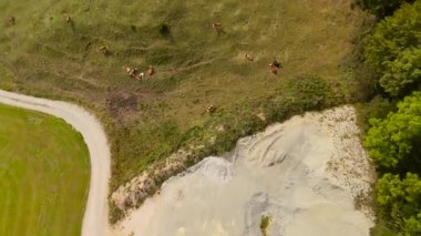 Lenggries yakınlarındaki bir kırsal Bavyera manzarası, yuvarlanan tepelerde otlayan inekler, küçük bir kum ve taş ocağı, dolambaçlı yollar ve sık ormanlarla çevrili yemyeşil alanlar