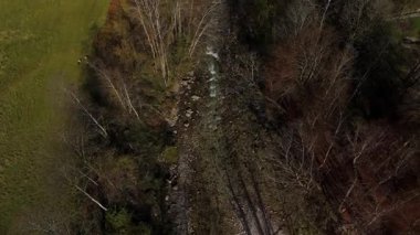 Almanya 'nın Bavyera kentindeki Koenigssee Nehri' nin Berchtesgadener Alpleri 'nden akan havadan görüntüsü. Kristal berrak su, yemyeşil ormanlar ve çarpıcı alp manzarası huzur ve nefes kesici manzaralar yaratır.