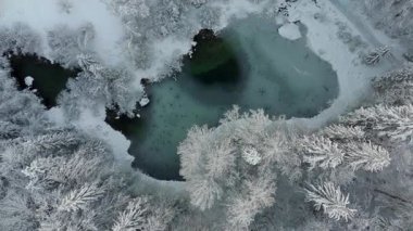 Kışın Rosensee Gölü, Grainau, Garmisch-Partenkirchen, Almanya hava manzaralı, karla kaplı kozalaklı orman ve Alpler ile çevrilidir. Rosensee umgeben bei Grainau, Alman Luftaufnahme. 