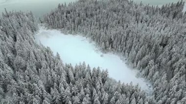 Almanya 'da Eibsee yakınlarındaki Zugspitze Dağı eteklerinde bulunan Frillensee, sakin bir kış kaçışı teklif ediyor. Havadan bakıldığında donmuş göl, karla kaplı ağaçlar ve Bavyera Alpleri 'nin buzla kaplı sükuneti görülüyor.. 