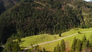 Almanya 'nın Valepp yakınlarındaki Bavyera' da dağ vadisinde çakıl bisikleti süren bisikletçinin hava manzarası. Alp manzaraları, yuvarlanan tepeler ve sonbahar renkleriyle çevrili. Macera, özgürlük ve sükunet.