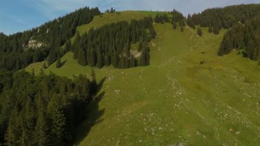 Kahverengi ve beyaz inek sürüsü Alplerdeki dağlarda otluyor. Avrupa Alpleri 'nde yaz mevsiminde sığır otlağı. Dağlarda otlayan ineklerin havadan görünüşü. Tepedeki çiftlik hayvanlarının insansız hava aracı görüntüsü