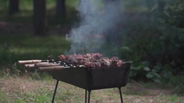 Şiş kebap, domuz eti ve mangalda kızartılır. Mevsimlik açık hava aktiviteleri, et barbeküsü yakın plan. Piknik. Kömürlü barbekü. Çiğ ızgara domuz eti şiş üstünde buluşur..