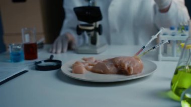 Laboratuvar asistanı GDO tavuğunu test ediyor. Gıda kalite kontrol işçisi örnekleri mikroskop arkasında inceliyor. Yiyeceklerde genetiği değiştirilmiş antibiyotik kalıntıları var. Yemek teknolojisi. Gıda kalite kontrol kavramı.