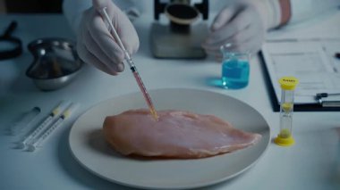 Yemek kalite kontrol konsepti. Laboratuvar asistanı GDO tavuğunu test ediyor. Laboratuvarda örnek et, anabolik ve antibiyotik içeren şırıngalar ve mikroskop inceleyen bilim adamları. Gıda mühendisliği süreci.