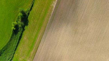 Yazın Bavyera, Almanya 'da güneşli bir havada çeşitli tarım alanlarının havadan görünüşü. Luftaufnahme verschiedenen landwirtschaftlichen Feldern im Sommer, Bayern, Deutschland. Çiftlik alanları. 