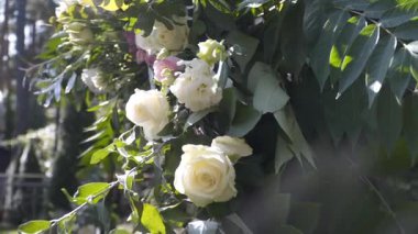 Açık hava seremonisinde dekore edilmiş düğün kemerini gösteren sakin bir video. Kemer beyaz güller ve canlı yeşil yapraklarla süslenir. Güzel bir günün yumuşak, sıcak güneş ışığıyla aydınlatılır.