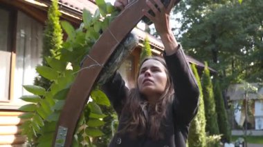 Personel etkinliği ajansı iş başında. Çiçekçiler biner, çiçekleri düğün töreni için kemerle süslerler. Profesyonelce düğün dekorasyonu yaratmak. Çiçekçilik. Düğün kemeri için çiçek kompozisyonuyla çalışan bir dekoratör