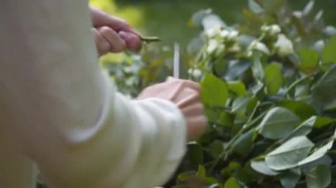 Profesyonel çiçekçi düğün kaydı için festival kemerini dekore ediyor. Kadın düğün dekoru kuruyor. Dekoratör, açık hava düğün törenini çiçekler ve yeşilliklerle süslüyor..