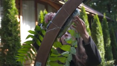 Personel etkinliği ajansı iş başında. Çiçekçiler biner, çiçekleri düğün töreni için kemerle süslerler. Profesyonelce düğün dekorasyonu yaratmak. Çiçekçilik. Düğün kemeri için çiçek kompozisyonuyla çalışan bir dekoratör