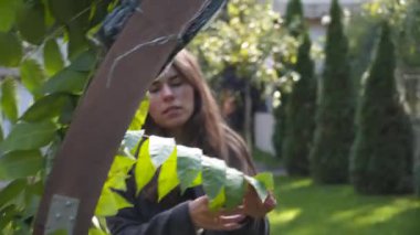 Personel etkinliği ajansı iş başında. Çiçekçiler biner, çiçekleri düğün töreni için kemerle süslerler. Profesyonelce düğün dekorasyonu yaratmak. Çiçekçilik. Düğün kemeri için çiçek kompozisyonuyla çalışan bir dekoratör
