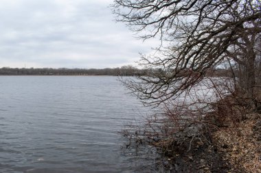 Minneapolis, Minnesota 'da bulutlu bir günde çekilmiş bir göl manzarası.