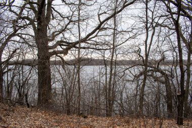 Minneapolis, Minnesota 'da bulutlu bir günde çekilmiş bir göl manzarası.