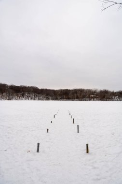 Kışın yerel bir Minnesota parkında donmuş ve bulutlu bir kar ve ağaç manzarası. Eden Prairie, Minnesota 'da yüksek kaliteli fotoğraf..