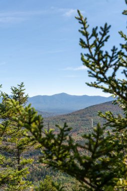 Değişen ağaçlara ve diğer dağlara tepeden bakan bir dağın tepesinden bakıyor. White Mountain Ulusal Ormanı, New Hampshire 'da yüksek kaliteli fotoğraf..