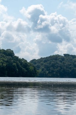 Minnesota 'daki bir eyalet parkında ağaçlarla çevrili su, nehir ve göl manzaraları. Yüksek kaliteli bir fotoğraf..