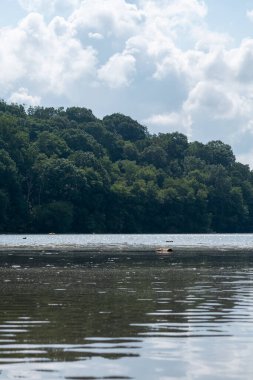 Minnesota 'daki bir eyalet parkında ağaçlarla çevrili su, nehir ve göl manzaraları. Yüksek kaliteli bir fotoğraf..