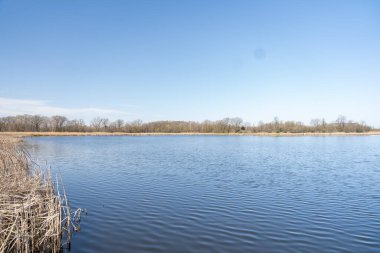 Minnesota 'daki bir eyalet parkında ağaçlarla çevrili su, nehir ve göl manzaraları. Yüksek kaliteli bir fotoğraf..