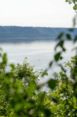 Minnesota 'daki bir eyalet parkında ağaçlarla çevrili su, nehir ve göl manzaraları. Yüksek kaliteli bir fotoğraf..