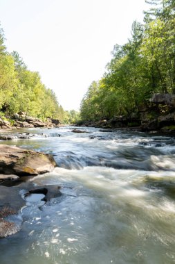 Minnesota 'daki bir eyalet parkında ağaçlarla çevrili su, nehir ve göl manzaraları. Yüksek kaliteli bir fotoğraf..