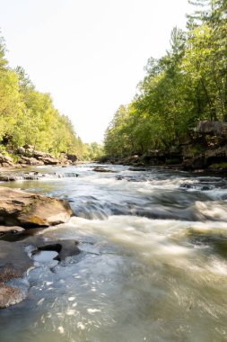 Minnesota 'daki bir eyalet parkında ağaçlarla çevrili su, nehir ve göl manzaraları. Yüksek kaliteli bir fotoğraf..