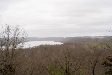 Minnesota 'daki bir eyalet parkında ağaçlarla çevrili su, nehir ve göl manzaraları. Yüksek kaliteli bir fotoğraf..