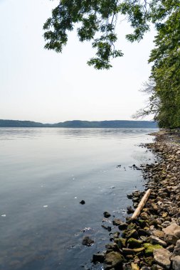 Minnesota 'daki bir eyalet parkında ağaçlarla çevrili su, nehir ve göl manzaraları. Yüksek kaliteli bir fotoğraf..