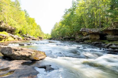 Minnesota 'daki bir eyalet parkında ağaçlarla çevrili su, nehir ve göl manzaraları. Yüksek kaliteli bir fotoğraf..