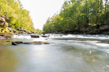 Minnesota 'daki bir eyalet parkında ağaçlarla çevrili su, nehir ve göl manzaraları. Yüksek kaliteli bir fotoğraf..