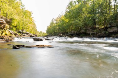 Minnesota 'daki bir eyalet parkında ağaçlarla çevrili su, nehir ve göl manzaraları. Yüksek kaliteli bir fotoğraf..